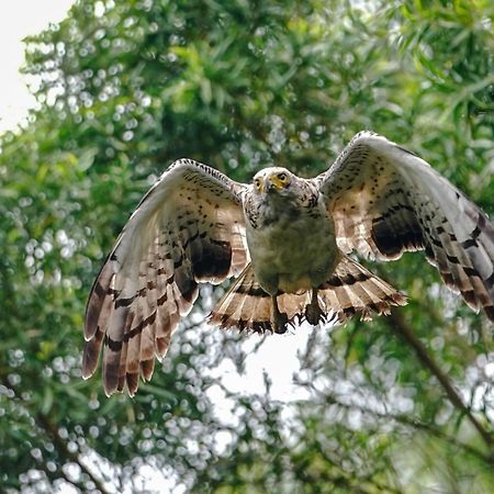 ゲストハウスあしびな 石垣市 エクステリア 写真