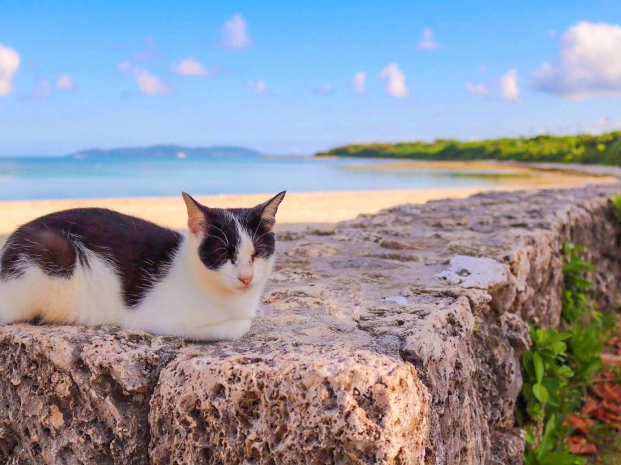 ゲストハウスあしびな 石垣市 エクステリア 写真