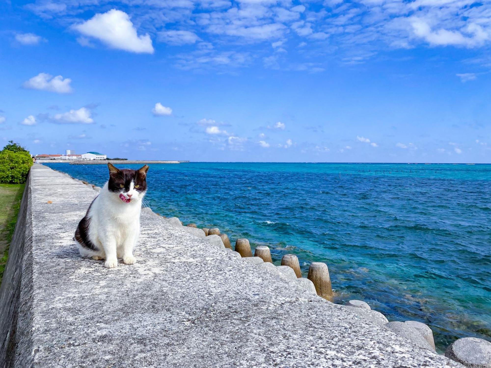 ゲストハウスあしびな 石垣市 エクステリア 写真